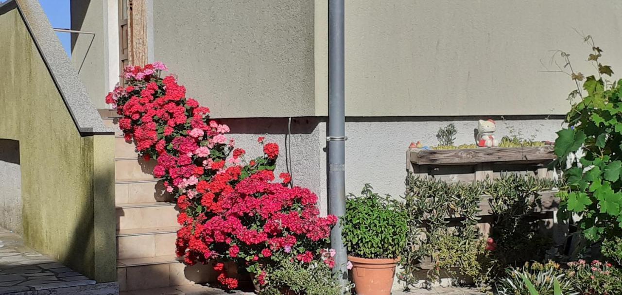 Kelk Loznati Apartment Exterior photo